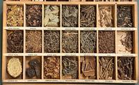 Victorian “cabinet Of materia medica” – complete and totally original specimens. (6 of 6) Victorian “cabinet Of materia medica” – complete and totally original specimens. (6 of 6)