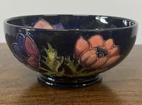Moorcroft Pottery “poppy (Blue)” Patterned Bowl