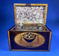 18th Century Kingwood Twin Tea Caddy With Inlay (15 of 16) 18th Century Kingwood Twin Tea Caddy With Inlay (15 of 16)