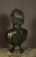Large Bronzed Plaster Library Bust Appollo (4 of 9) Large Bronzed Plaster Library Bust Appollo (4 of 9)
