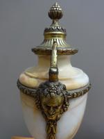 Item Additional Image