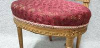 Lovely French Gilt Boudoir Chair (8 of 10) Lovely French Gilt Boudoir Chair (8 of 10)