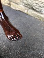 Antique Carved Foot Walking Stick (7 of 7) Antique Carved Foot Walking Stick (7 of 7)