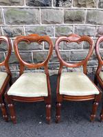 Antique Set of 6 Mahogany Balloon Back Dining Chairs (3 of 11) Antique Set of 6 Mahogany Balloon Back Dining Chairs (3 of 11)