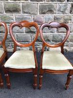 Antique Set of 6 Mahogany Balloon Back Dining Chairs (4 of 11) Antique Set of 6 Mahogany Balloon Back Dining Chairs (4 of 11)