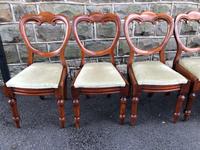 Antique Set of 6 Mahogany Balloon Back Dining Chairs (10 of 11) Antique Set of 6 Mahogany Balloon Back Dining Chairs (10 of 11)