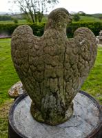 Pair of Large Old Weathered Eagle Statues or Pillar Caps (9 of 9) Pair of Large Old Weathered Eagle Statues or Pillar Caps (9 of 9)