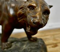 Ferocious Bronze Tiger Statue (2 of 6) Ferocious Bronze Tiger Statue (2 of 6)