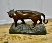 Ferocious Bronze Tiger Statue (5 of 6) Ferocious Bronze Tiger Statue (5 of 6)