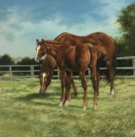 Large Vintage Equestrian Landscape Oil Painting of Horses Swept Gilt Frame (4 of 6) Large Vintage Equestrian Landscape Oil Painting of Horses Swept Gilt Frame (4 of 6)