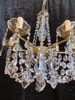 A Six Light Strasbourg Antique Chandelier (13 of 15) A Six Light Strasbourg Antique Chandelier (13 of 15)