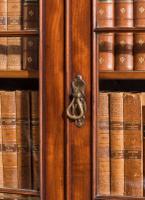 Regency Period Mahogany Bookcase with Gothic Tracery (6 of 7) Regency Period Mahogany Bookcase with Gothic Tracery (6 of 7)
