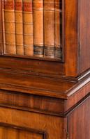 Regency Period Mahogany Bookcase with Gothic Tracery (7 of 7) Regency Period Mahogany Bookcase with Gothic Tracery (7 of 7)