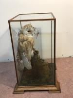 Item Additional Image