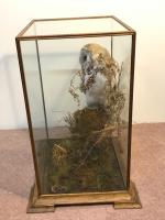 Item Additional Image