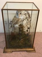 Item Additional Image