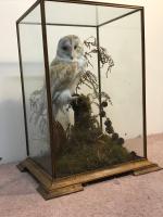 Item Additional Image