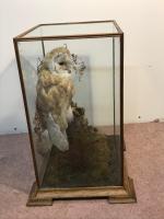 Item Additional Image