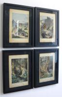 4 Framed Animal Coloured Pictures Plates c.1877 Sketches from Nature (4 of 8) 4 Framed Animal Coloured Pictures Plates c.1877 Sketches from Nature (4 of 8)