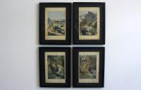 4 Framed Animal Coloured Pictures Plates c.1877 Sketches from Nature (8 of 8) 4 Framed Animal Coloured Pictures Plates c.1877 Sketches from Nature (8 of 8)