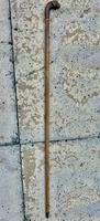 Victorian Boxer Dog Walking Cane c.1890 (5 of 6) Victorian Boxer Dog Walking Cane c.1890 (5 of 6)