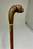 Victorian Boxer Dog Walking Cane c.1890 (4 of 6) Victorian Boxer Dog Walking Cane c.1890 (4 of 6)