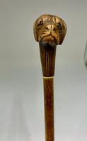 Victorian Boxer Dog Walking Cane c.1890 (2 of 6) Victorian Boxer Dog Walking Cane c.1890 (2 of 6)