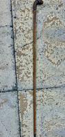 Victorian Boxer Dog Walking Cane c.1890 (6 of 6) Victorian Boxer Dog Walking Cane c.1890 (6 of 6)