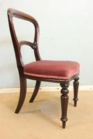 Antique Balloon Back Occasional Mahogany Side Chair (5 of 5) Antique Balloon Back Occasional Mahogany Side Chair (5 of 5)