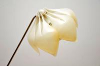 Vintage Floor Lamp – Symanka Sy1 by Gunter Ssymmank 1959 (4 of 12) Vintage Floor Lamp – Symanka Sy1 by Gunter Ssymmank 1959 (4 of 12)