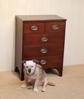 Small Edwardian Mahogany Chest of Drawers (4 of 8) Small Edwardian Mahogany Chest of Drawers (4 of 8)