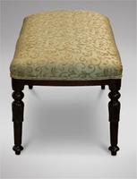 Mahogany Long Bench / Stool with Carved Legs c.1895 (3 of 4) Mahogany Long Bench / Stool with Carved Legs c.1895 (3 of 4)