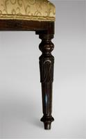 Mahogany Long Bench / Stool with Carved Legs c.1895 (4 of 4) Mahogany Long Bench / Stool with Carved Legs c.1895 (4 of 4)