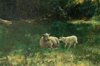 Angelsey, North Wales - Oil on Canvas - a Forest Glade (3 of 6) Angelsey, North Wales - Oil on Canvas - a Forest Glade (3 of 6)