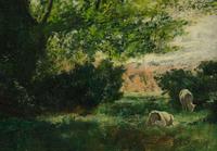 Angelsey, North Wales - Oil on Canvas - a Forest Glade (5 of 6) Angelsey, North Wales - Oil on Canvas - a Forest Glade (5 of 6)