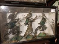 Item Additional Image