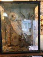 Item Additional Image