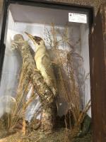 Item Additional Image