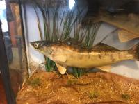 Item Additional Image