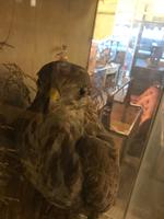 Item Additional Image