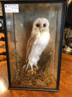 Item Additional Image