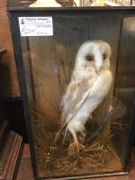 Item Additional Image