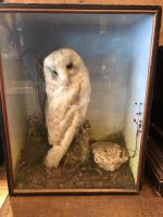 Item Additional Image