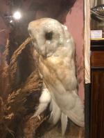 Item Additional Image