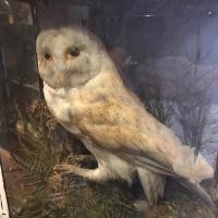 Item Additional Image