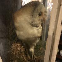 Item Additional Image