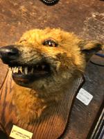 Item Additional Image