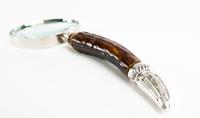 Stag Horn Magnifying Glass 10cm c.1890 (4 of 5) Stag Horn Magnifying Glass 10cm c.1890 (4 of 5)