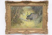Original Artwork Oil Painting Greater Kudu Antelope Wild Animal Bush South Africa School G.Uys (3 of 22) Original Artwork Oil Painting Greater Kudu Antelope Wild Animal Bush South Africa School G.Uys (3 of 22)