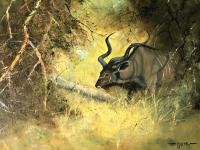 Original Artwork Oil Painting Greater Kudu Antelope Wild Animal Bush South Africa School G.Uys (19 of 22) Original Artwork Oil Painting Greater Kudu Antelope Wild Animal Bush South Africa School G.Uys (19 of 22)